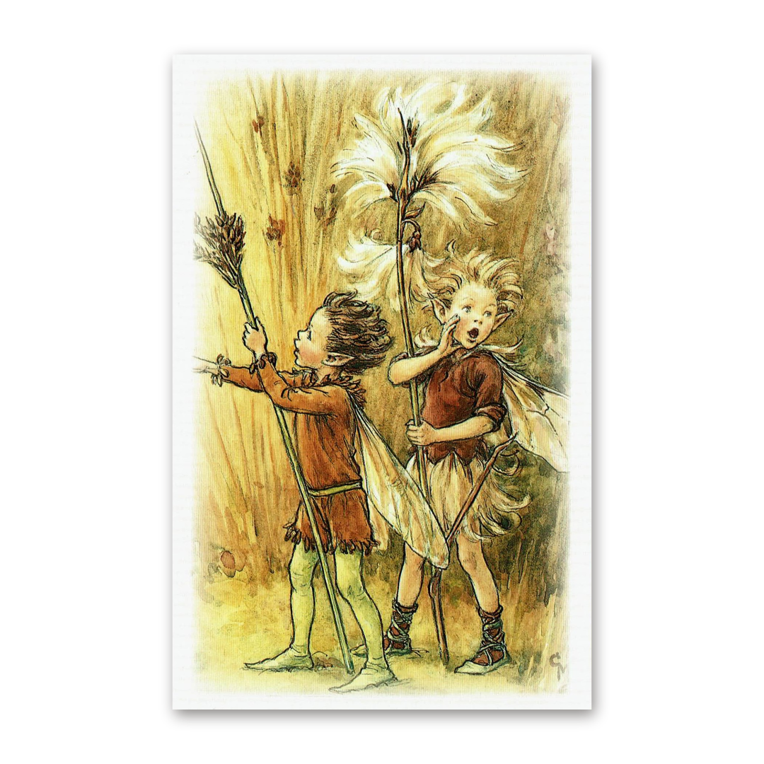 Postcard Flower Fairies, Cicely Mary Barker