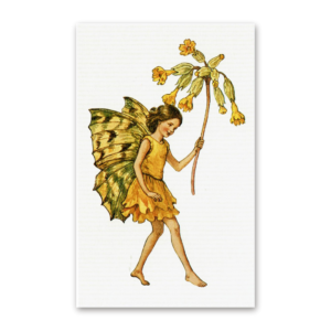 Postcard Flower Fairies, Cicely Mary Barker