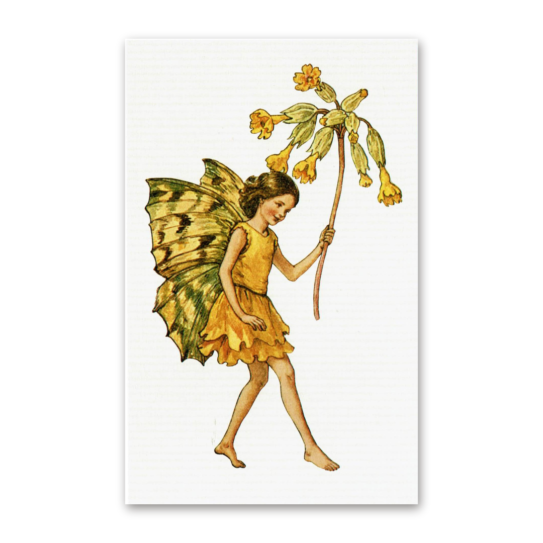 Postcard Flower Fairies, Cicely Mary Barker