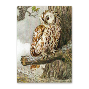 Postcard Die Wichtelkinder, Elsa Beskow