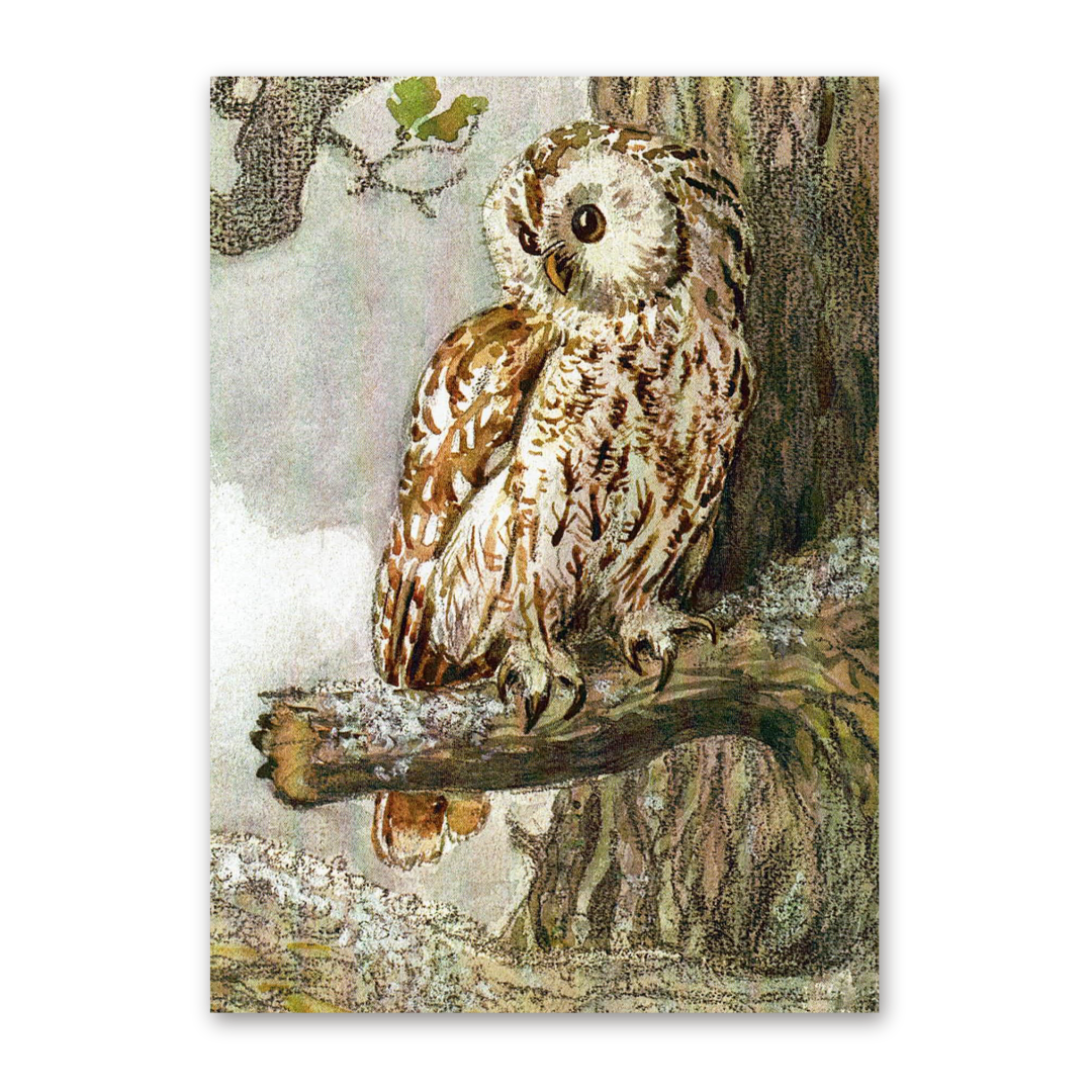Postcard Die Wichtelkinder, Elsa Beskow