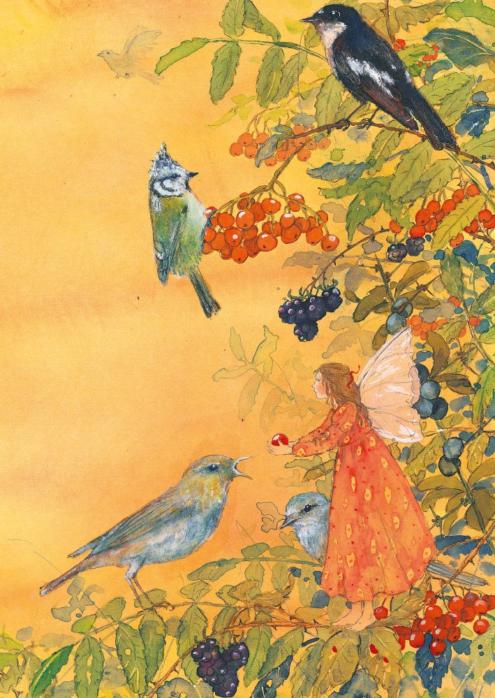 Elfe und Vögel