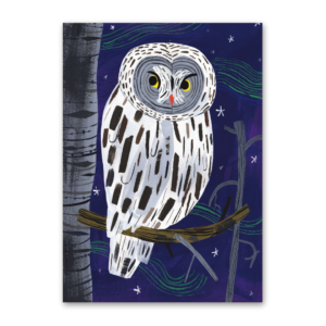 Postcard Great Grey Owl, Kehvola